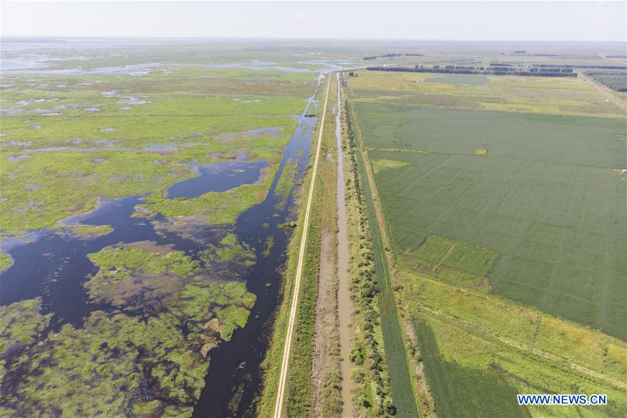CHINA-HEILONGJIANG-FUJIN-ENVIRONMENT-WETLAND (CN)