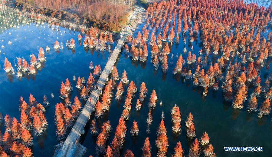 CHINA-YUNNAN-BIODIVERSITY (CN)