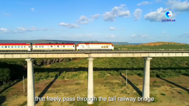 BRI in 10 years: Chinese-built modern railway in Kenya fosters long-term growth, peace