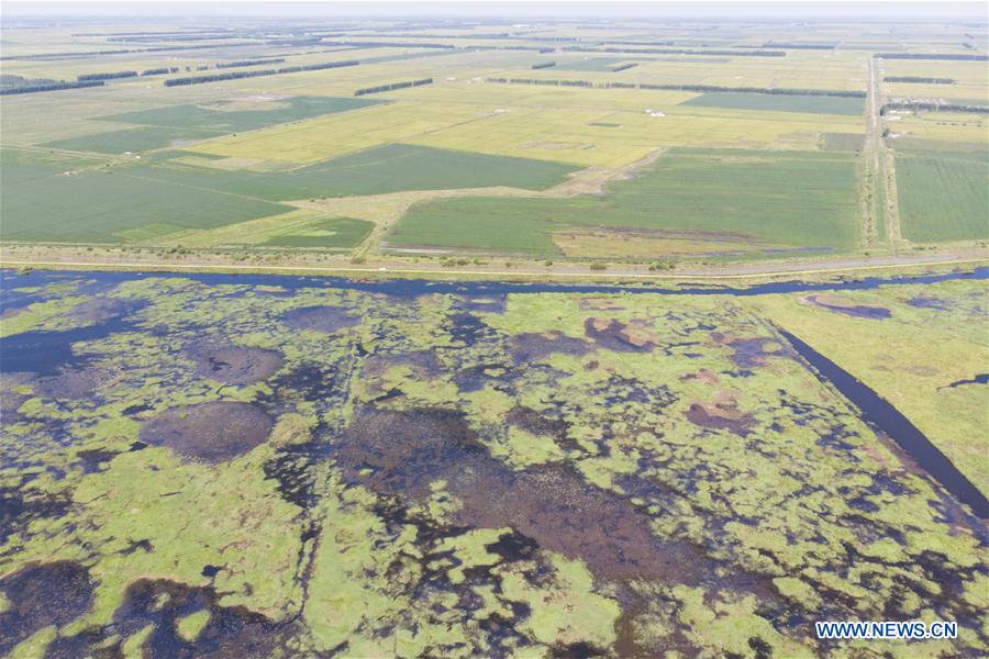 CHINA-HEILONGJIANG-FUJIN-ENVIRONMENT-WETLAND (CN)