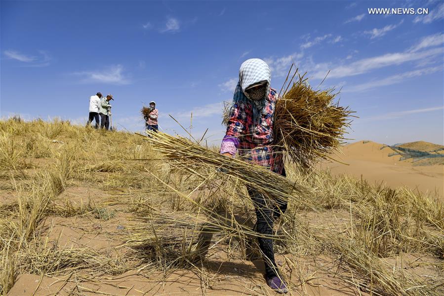CHINA-NINGXIA-DESERTIFICATION CONTROL-HIGHWAY (CN)