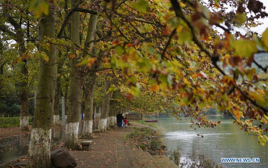 #CHINA-AUTUMN VIEWS (CN)